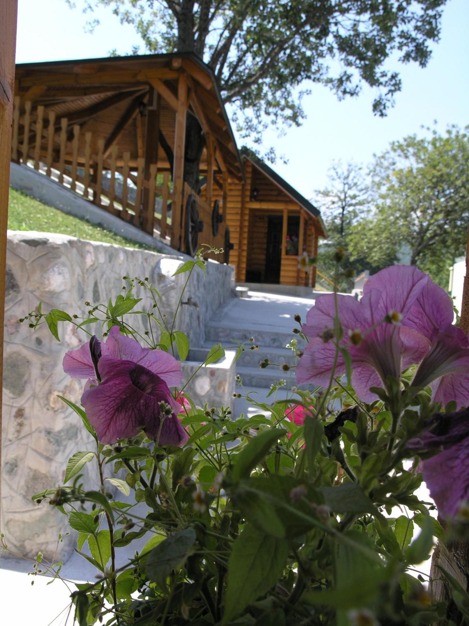 Motel Krstac Mojkovac Chambre photo