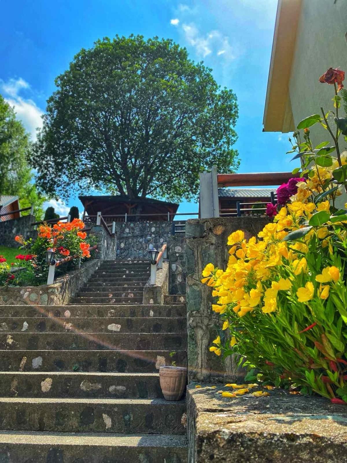 Motel Krstac Mojkovac Extérieur photo